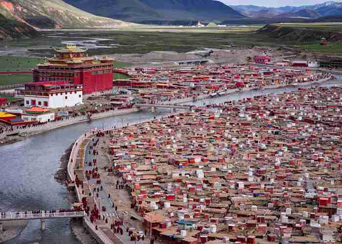 成都景区直通车，真能让你舒舒服服去看熊猫？我亲测后，有几点必须说-第3张图片-成都租车公司